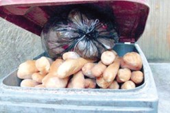 الجزائريون يبذّرون 535 طن من الخبز منذ بداية رمضان