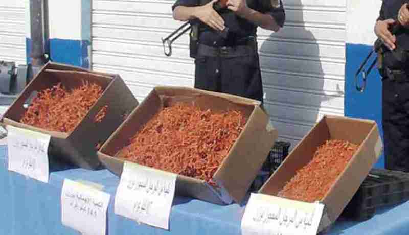 تفكيك شبكة دولية للإتجار بالمخدرات وتهريب المرجان بالطارف
