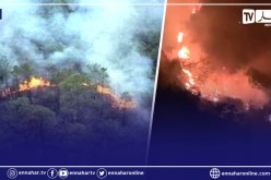 بالصور.. خنشلة: حريق بغابة عين ميمون جنوب الولاية