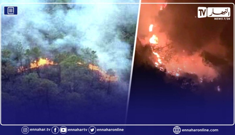 بالصور.. خنشلة: حريق بغابة عين ميمون جنوب الولاية