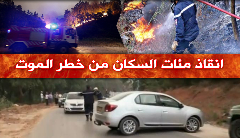 حرائق الطارف: إنقاذ مئات السكان من موت محتوم
