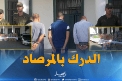 بالفيديو والصور.. تفكيك شبكة لتهريب السجائر الأجنبية وصناعة الشمة المقلدة بمستغانم