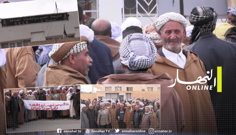 سيدي بلعباس.. موالون يطالبون برحيل رئيس الغرفة الفلاحية