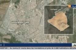 عضة كلب تودي بحياة حارس و طفل في الـ 13سنة