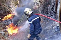 النيران تتلف 50 هكتارا من الغابات خلال شهرين بتبسة