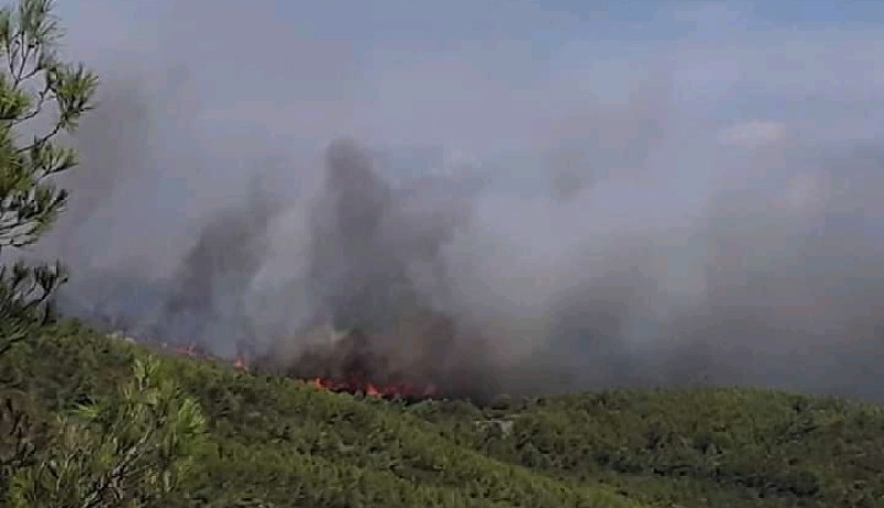 الشلف: الحماية المدنية تقحم الرتل المتنقل لإخماد 5 حرائق مهولة