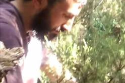 بالفيديو.. اختفاء غامض لشاب بجيجل وأنباء عن اغتياله من طرف إرهابيين