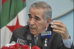 ولد قابلية: 64 طنا من القنب الهندي تحجز سنويا بالجزائر