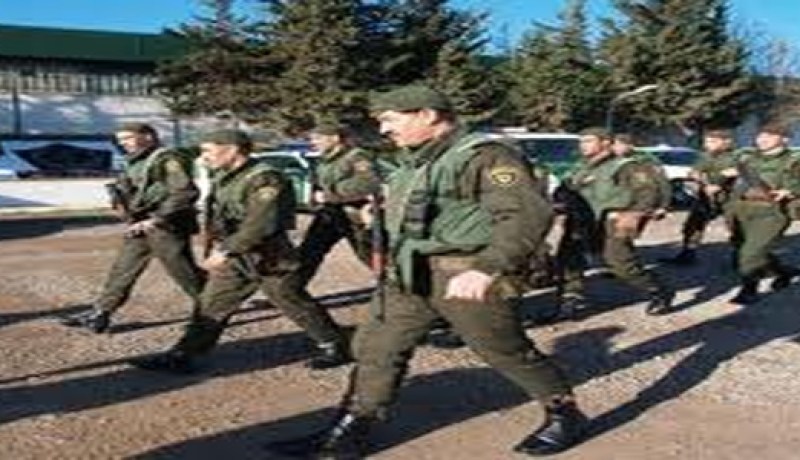 الدرك الوطني: معاينة أكثر من 38 ألف قضية في إطار الجرائم المرتكبة ضد القانون