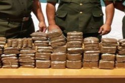 حجز قرابة 50 كلغ من الكيف بغرب البلاد