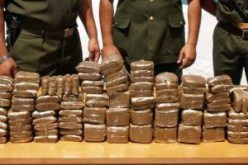 حجز أزيد من 840 كلغ من مادة الكيف المعالج في منطقة حاسي منير بتندوف