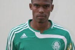 البرازيلي مايكوسويل إلى اودينيزي