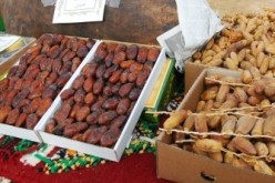 إعادة تهيئة الواحات القديمة وتجميع الفلاحين في جمعيات وتعاونيات