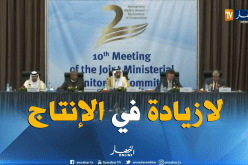 هكذا كان إجتماع لجنة المتابعة “اوبك+” بالجزائر
