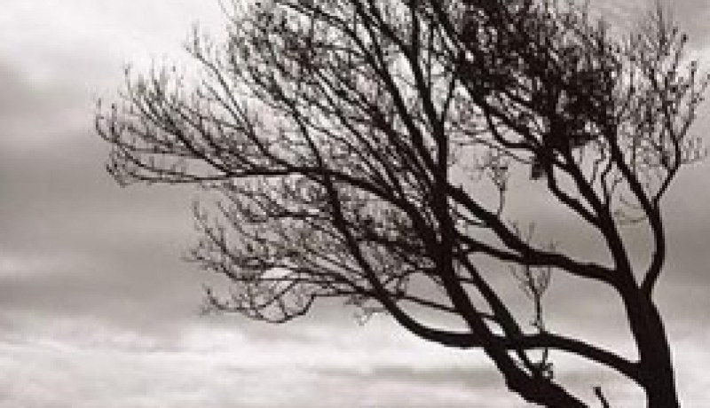 ممارسة الرياضة لأقل من نصف ساعة يوميا تخفف الكآبة