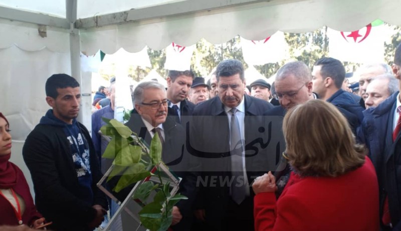 وزير الفلاحة.. انتاج الحمضيات يعرف جودة عالية في متيجة