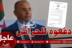 المستشار المحقق يودع زعلان ومحمد الغازي الحبس المؤقت