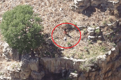 شخص يرمي نفسه من أعلى جسر في مدينة قسنطينة