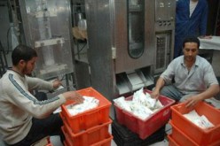 تنصيب اللجنة الجزائرية-الفرنسية لقيادة عملية تطوير فرع الحليب