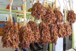 هكذا حاولت عصابة يهودية تونسية بفرنسا تحطيم تسويق التمور الجزائرية