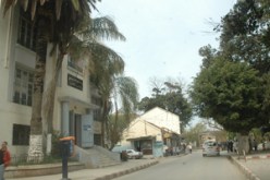 رحلة في إيكوزيوم … مدينة دلس