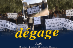 المدير العام لسونلغاز يحدث حالة طوارئ في مديرية التوزيع بالوادي