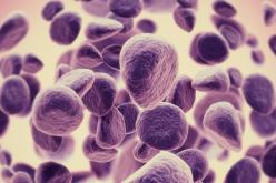 أرقام مخيفة في اليوم العالمي للسرطان