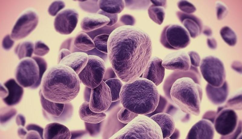 أرقام مخيفة في اليوم العالمي للسرطان