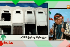 الشيخ النوي …القصف دمر محلات الرئيس في عين مليلة