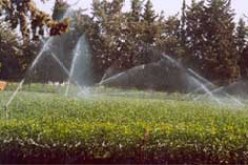 40 ألف هكتار من الأراضي الفلاحية ستسقى بمياه الصرف الصحي المعالجة