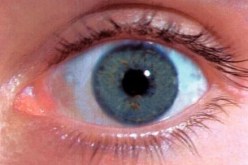 داء المياه الزرقاء يتلف عيون 500 ألف جزائري على الأقل