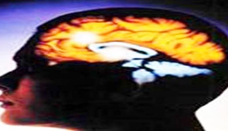 دراسة جديدة تكشف ان مركز النطق في الدماغ غير المكان المحدد سابقا