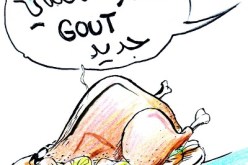 ديـك رومـي‮ ‬مـحـشـي‮ ‬بـ‮''‬الـزطـلـة‮'' ‬لـتــمريـره إلى سـجــيـن فـي‮ ‬شـلـغـــوم الـعـيـــد‮!‬