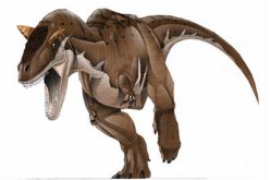 اكتشـــــــــاف آثــــــــــار ديناصــــــــــــورات فــــــــــي البيــــــــــــض