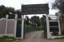 إنشاء وحدات خاصة تابعة للشرطة لمكافحة الجريمة المعلوماتية