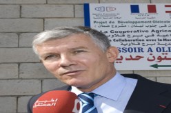 من الإيليزيه إلى حيدرة