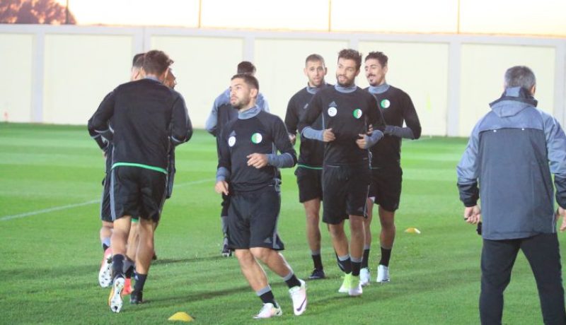 صالحي، عروس وجابو.. جديد ماجر أمام إفريقيا الوسطى