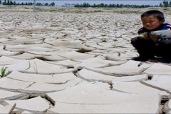 تضرر أكثر من 1.44مليون شخص جنوب غرب الصين بسبب الجفاف