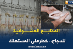 المذابح العشوائية للدجاج.. تغزو ڨالمة