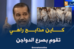 رئيس منظمة حماية المستهلك.. هناك مذابح تقوم بصرع الدواجن