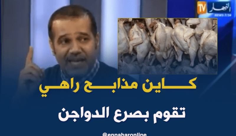 رئيس منظمة حماية المستهلك.. هناك مذابح تقوم بصرع الدواجن