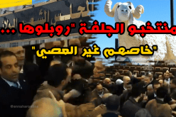 انتخابات المجلس الولائي بالجلفة .. “دبزة” و”دماغ”