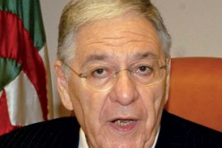 “فاكونس تاع باطل”