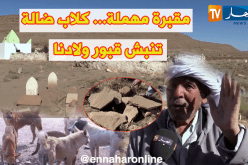 المقابر عرضة للإهمال وإعتداءات الحيوانات الضالة بالبيض