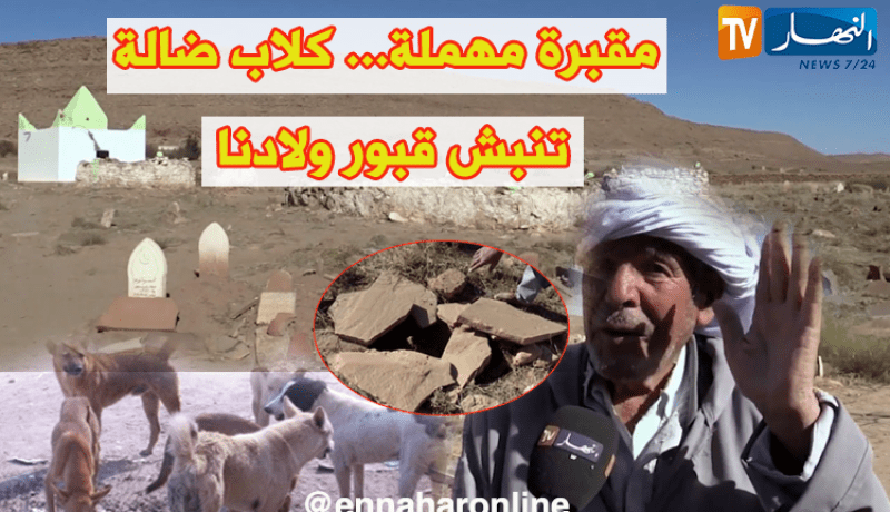 المقابر عرضة للإهمال وإعتداءات الحيوانات الضالة بالبيض