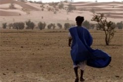 فيما يتنتشر استعمال الأعشاب الطبيعية للتداوي من الأمراض بالوادي…شيخ يعالج مرضى العقم والشلل النصفي بعد عجز الطب الحديث