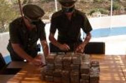 حجز أكثر من 15 كلغ من الكيف المعالج في قسنطينة