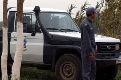 الجمارك تحارب “الحلابة” بـ45 سيارة 4*4 جديدة