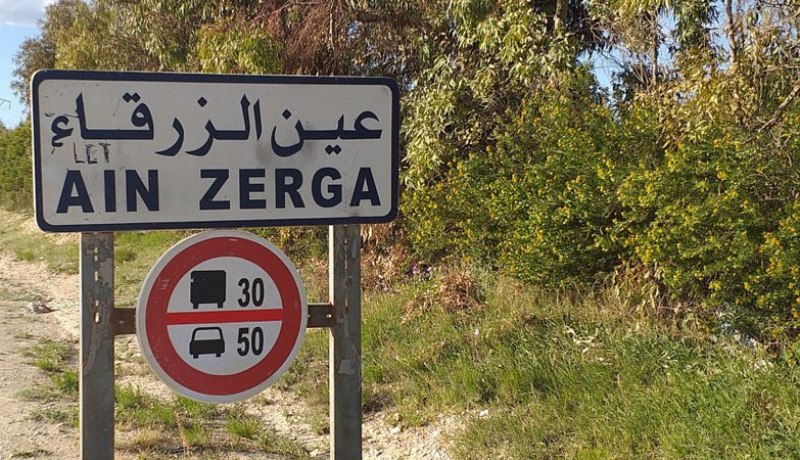 تبسة : إحتجاج سكان عين الزرقاء على الإقصاء من السكن الريفي فوق الأراضي التونسية