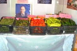 مشاركة حوالي 60 عارضا في الطبعة التاسعة لصالون الفلاحة الصحراوية و السهبية